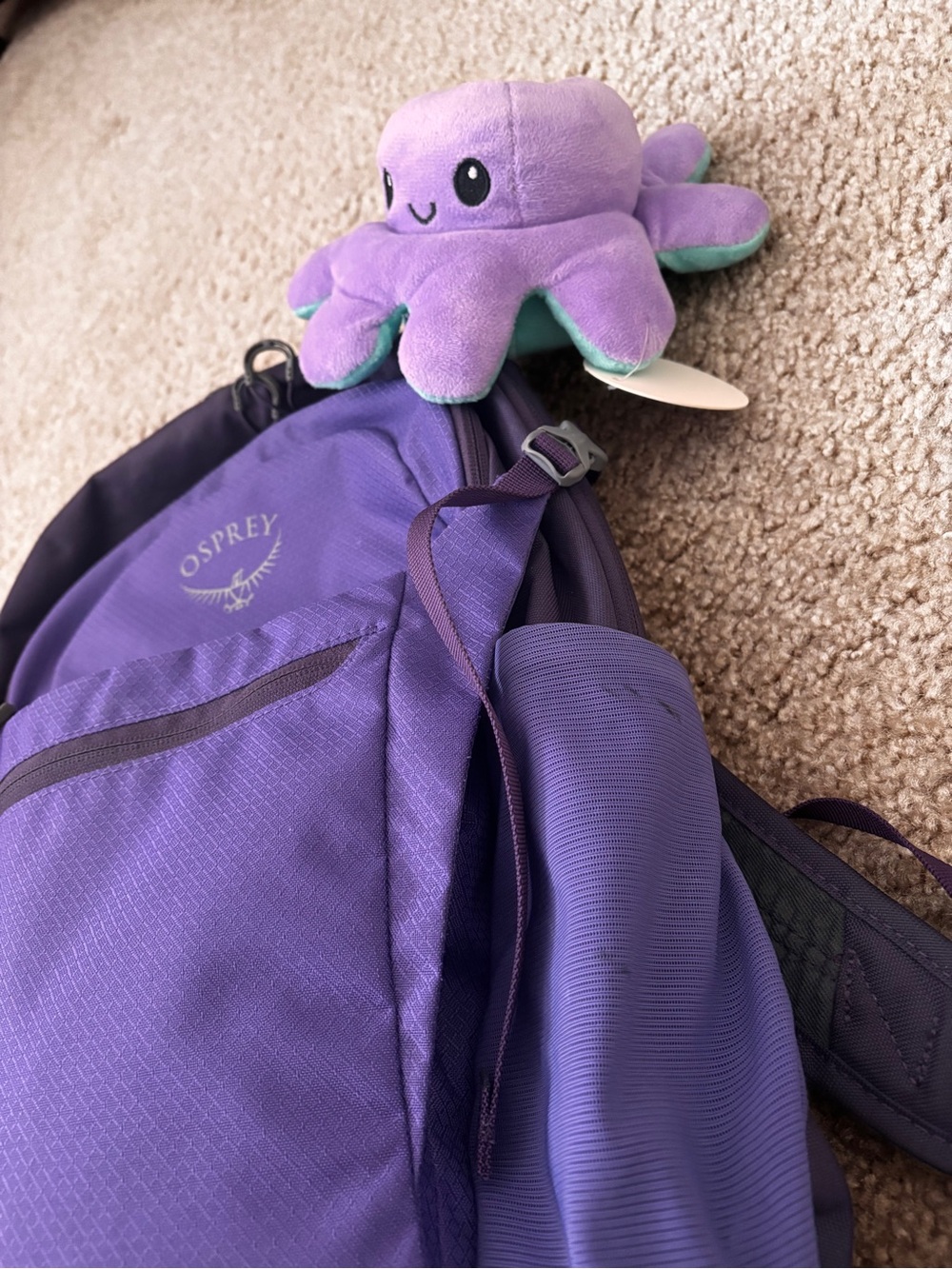 OSPREY Purple Daylite Plus Backpack - Picture 3 of 9